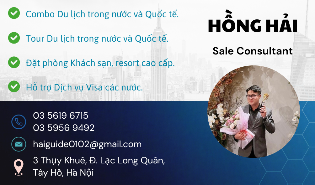 lĩnh vực hoạt động